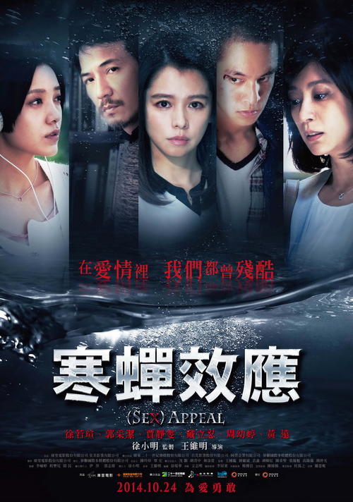 自考学位证丢了怎么补